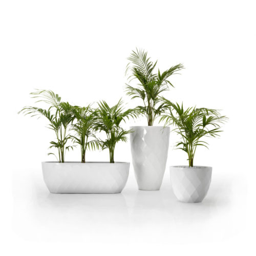 VASES LOW PLANTER <br/> By Vondom - Image 5