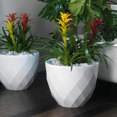 VASES LOW PLANTER <br/> By Vondom - Image 3
