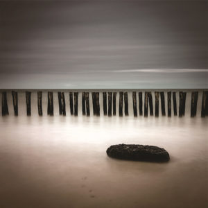 WOODEN COASTLINE <br/> By Cobra Art