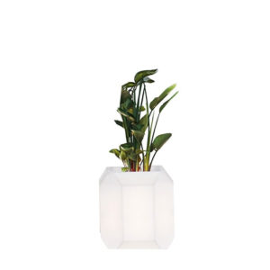 GEM POT SMALL <br/> By MyYour
