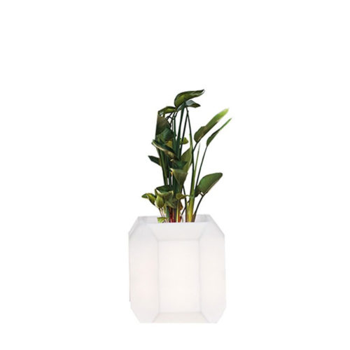 GEM POT SMALL <br/> By MyYour