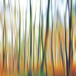 ABSTRHIERTE WELTEN <br/> By Cobra Art