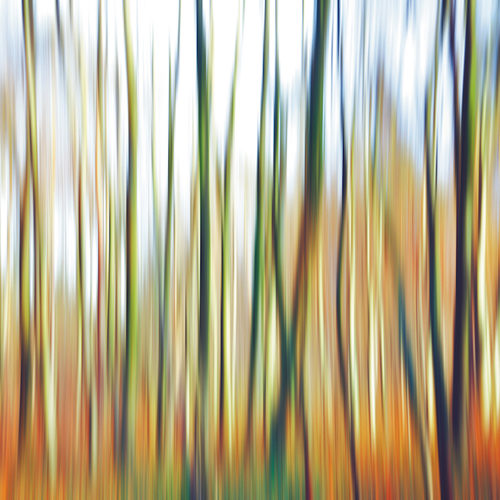 ABSTRHIERTE WELTEN <br/> By Cobra Art