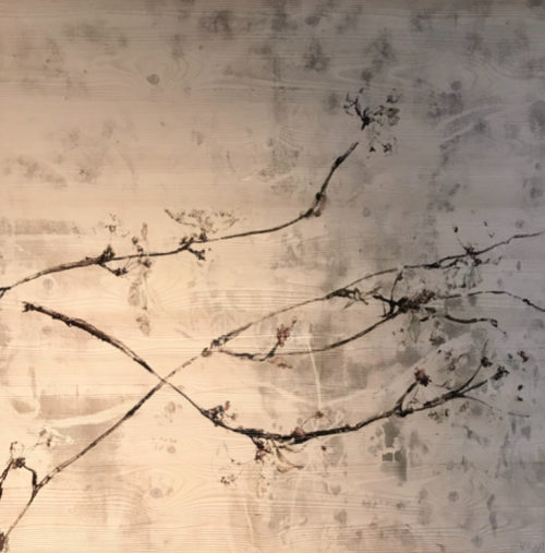 BLOSSOM <by/> by Vero Sharp