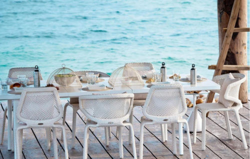 SEASHELL DINING SIDE CHAIR<br/> By DEDON - Image 2