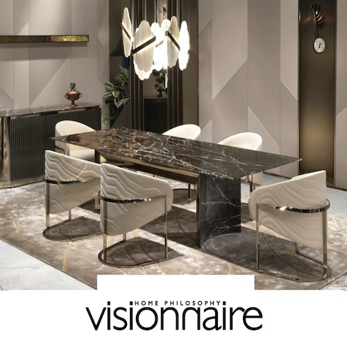 visionnaire