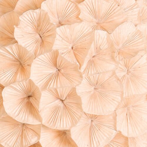 POPPY HANGING LAMP MEDIUM<br/> by Kenneth Cobonpue - Image 3