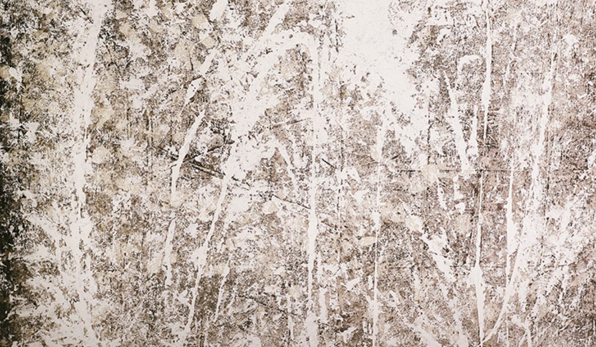 SCRATCHES COLLECTION Banner Image