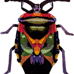 BEETLE <br/> by Ferreira de Sá