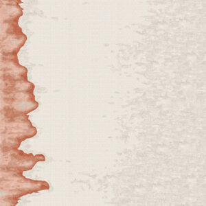 FLOW FIELD <br/> by Ferreira de Sá