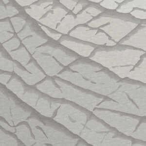 FRACTURE <br/> by Ferreira de Sá