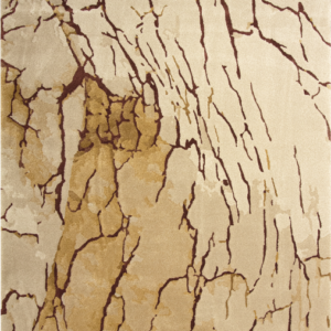 ROOTS <br/> by Ferreira de Sá