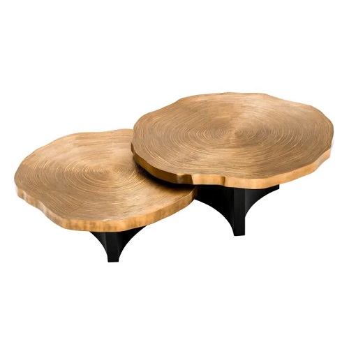 COFFEE TABLE THOUSAND OAKS SET OF 2 <br/> By Eichholtz <br/><br/> IN STOCK - Image 5