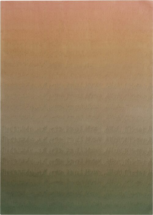 DIFFUSE ECO CORAL REEFS <br/> by Ferreira de Sá