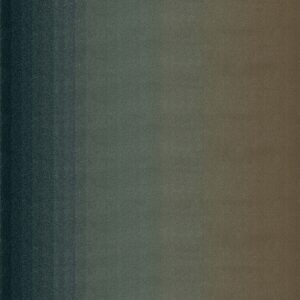 GRADIENT CARIBOU <br/> by Ferreira de Sá