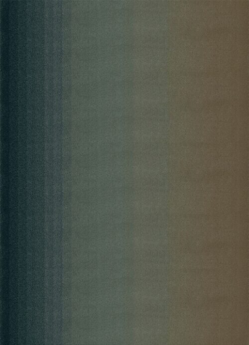 GRADIENT CARIBOU <br/> by Ferreira de Sá