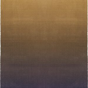 GRADIENT IRIS <br/> by Ferreira de Sá