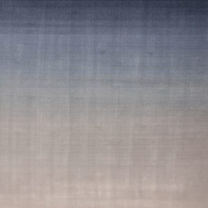 GRADIENT PIGEON <br/> by Ferreira de Sá
