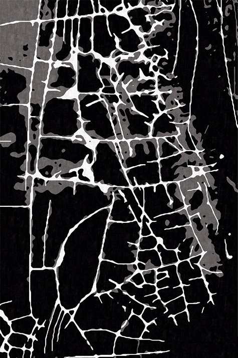 MUD CRACK <br/> by Ferreira de Sá