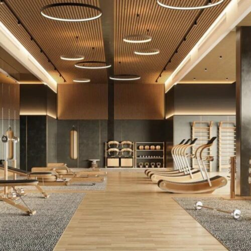 IRENA CURVE MANUAL TREADMILL <br> By Pent - Image 2