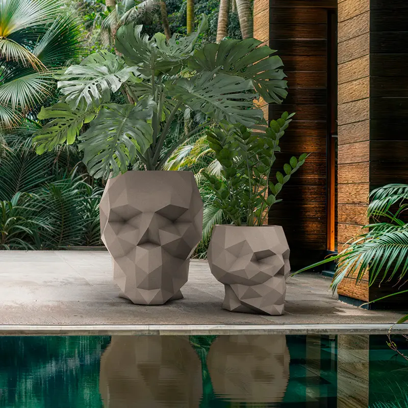 SKULL COLLECTION