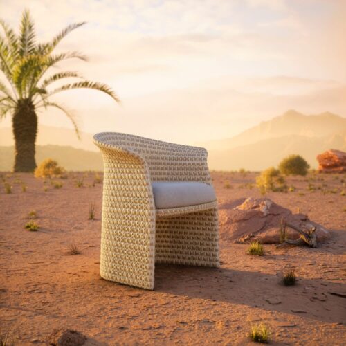 FLLAIR ARMCHAIR WITH SEAT CUSHION <br/> By DEDON - Image 2